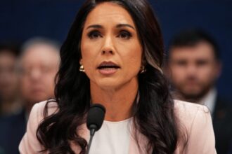 Tulsi Gabbard